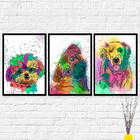 Quadros Cachorro Dog Colorido Kit 3 Decorativos Decoração