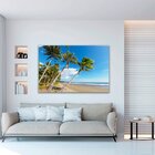 Quadros Coqueiros Praia