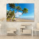 Quadros Coqueiros Praia
