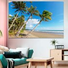 Quadros Coqueiros Praia