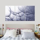 Quadros Decorativos Dente De Leão Com Fundo Azul Claro