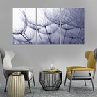 Quadros Decorativos Dente De Leão Com Fundo Azul Claro