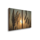 Quadros Decorativos Dupla Folhagem Com Por Do Sol 50x70
