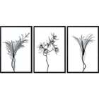 Quadros Decorativos Flores Pb Ii Sem Vidro Preto