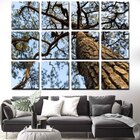 Quadros Decorativos Galho De Árvore 12 Peças Gigante