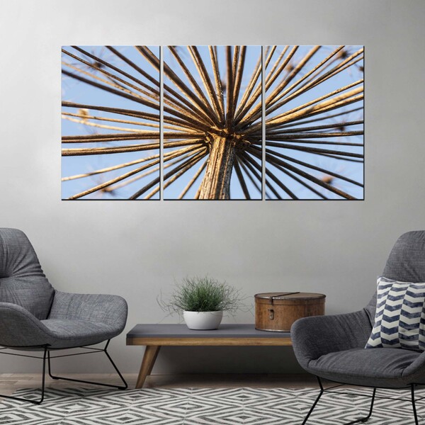 Quadros Decorativos Galho De Dente De Leão