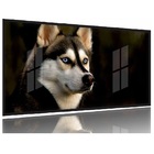Quadros Decorativos Husky Siberiano 130x60 Moldura Preta 2x2