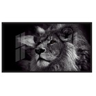 Quadros Decorativos Leão Preto E Branco Moldura Preta 2x2