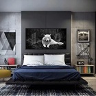 Quadros Decorativos Lobo Branco 130x60 Moldura Preta 2x2