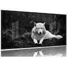 Quadros Decorativos Lobo Branco 130x60 Moldura Preta 2x2