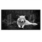 Quadros Decorativos Lobo Branco 130x60 Moldura Preta 2x2