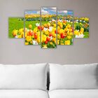 Quadros Decorativos Mdf Floral Campo De Tulipas