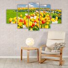 Quadros Decorativos Mdf Floral Campo De Tulipas