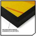 Quadros Decorativos Medicina Veterinária 3 Peças Luven Pre