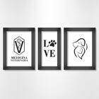 Quadros Decorativos Medicina Veterinária 3 Peças Luven Pre