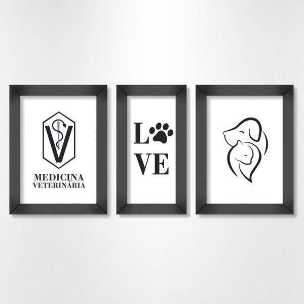 Quadros Decorativos Medicina Veterinária 3 Peças Luven Pre