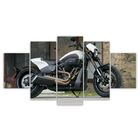 Quadros Decorativos Mosaico Mdf Harley-davidson Fxdr 114