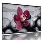 Quadros Decorativos Orquidea Flor Botanico Moldura Preta