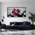 Quadros Decorativos Orquidea Flor Botanico Moldura Preta