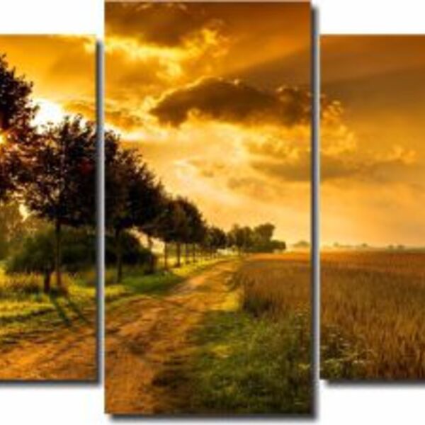 Quadros Decorativos Paisagem Para Sala 5 Peças M2