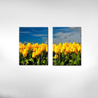 Quadros Decorativos Paisagem Tulipa Amarela 2 Peças Para Sala