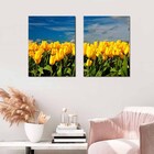 Quadros Decorativos Paisagem Tulipa Amarela 2 Peças Para Sala