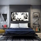 Quadros Decorativos Tigre Branco 130x60 Moldura Preta 2x2