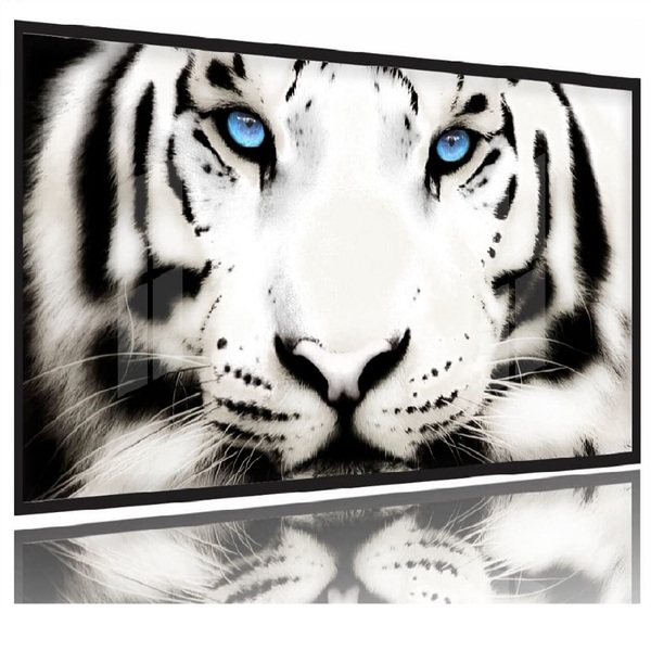 Quadros Decorativos Tigre Branco 130x60 Moldura Preta 2x2