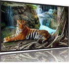 Quadros Decorativos Tigre Cachoeira Hd Moldura Preta