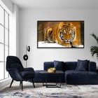 Quadros Decorativos Tigre Neve 130x60 Moldura Preta 2x2