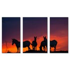 Quadros Decorativos Zebras Ao Por Do Sol