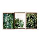 Quadros Mosaico Decorativo Folha Costela De Adao - Amadeirada