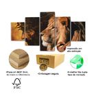 Quadros Orquideas Com Efeito Dourados Brilhantes 5 Peças