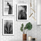 Quadros Placas Mdf 6mm Sala Quarto Elefante 3 Un 29x20