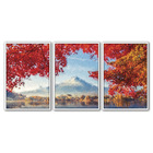 Quadros Premium Textura Cxalta Monte Fuji Outono 40x60 3un -