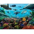 Quebra-cabeça 1000 Peças Criaturas Marinhas Toyster