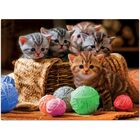 Quebra Cabeça 300 Peças Cesta De Gatinhos Mentes Ativas Toyst