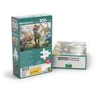 Quebra Cabeça Cartonado Dinossauro 100 Peças