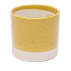 Queijeira Em Cristal Pearl 20x9cm Wolff