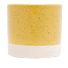 Queijeira Em Cristal Pearl 20x9cm Wolff