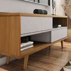 Rack Para Tv Até 50 Polegadas 2 Portas Nt 1180  Freijó Trend/