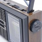 Radio Portatil Retro Com 4 Bandas Am Fm Sw E Tv Livstar Cnn-9