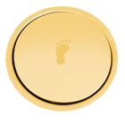 Ralo Click Up Inteligente Redondo Dourado 15x15 Cm Inox - Dem