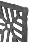 Ralo Material Ferro Fundido Modelo Côncava Comprimento 20cm Largura 20cm