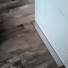 Ralo Linear Inox Brilhante 60 Cm