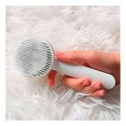 Rasqueadeira Removedor Tira Pelos Longos Automático Pet Anima