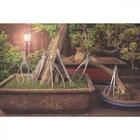 Rastelo Para Bonsai Tramontina Em Aço Inox