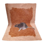 Ratoeira Ades Pega Rato Krodec