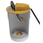 Ratoeira Armadilha Captura Rato Reutilizavel Pega Camundongo