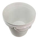 Ratoeira Com Balde 18 Litros Armadilha Pega Rato Captura Rata